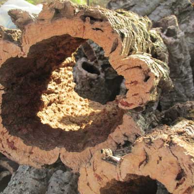 About cork 3 virgin cork